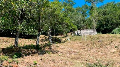 Suelo  no urbanizable,  ubicado en a A Estrada Pontevedra, sitio viñote, arnois pg 508 parc. 75 .Cuenta con una superficie de 1260, immagine 4