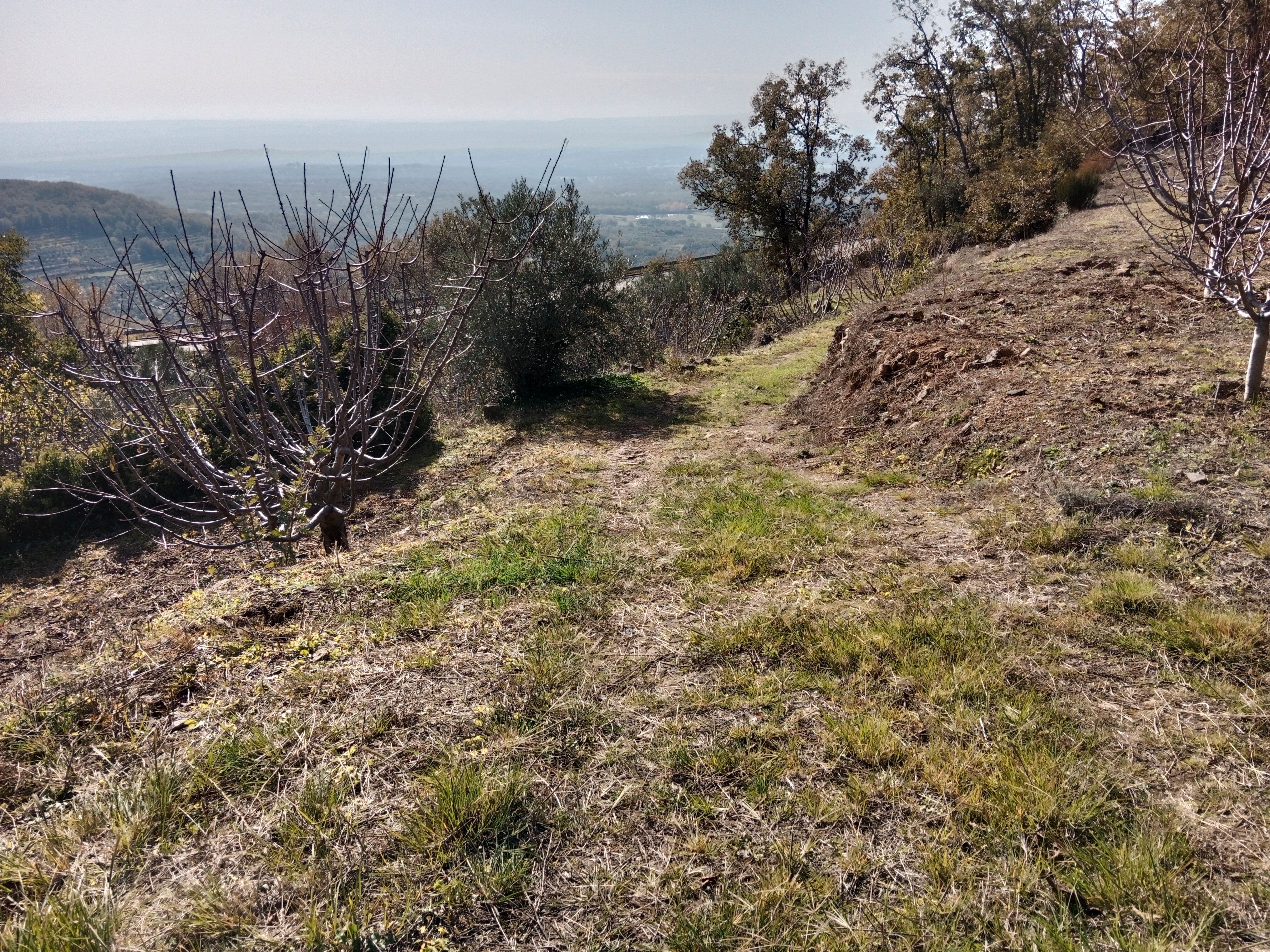 Land for sale in Barrado