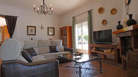 Foto 4 de Finca rústica de alquiler en Alquería - Torrealquería, Málaga