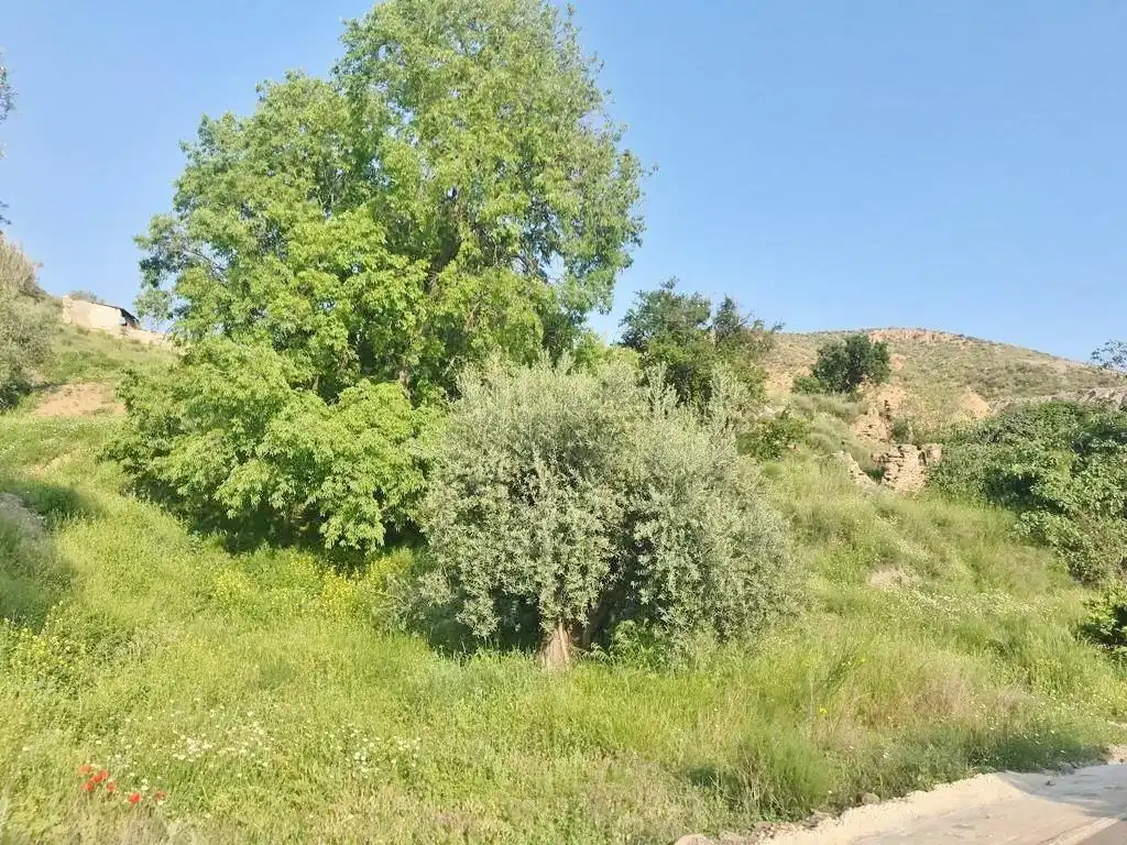 Terreni e lotti in vendita a Polígono Polígono 21 Parcela 10 EL CERRON UGIJAR (GRANADA, imagen 6