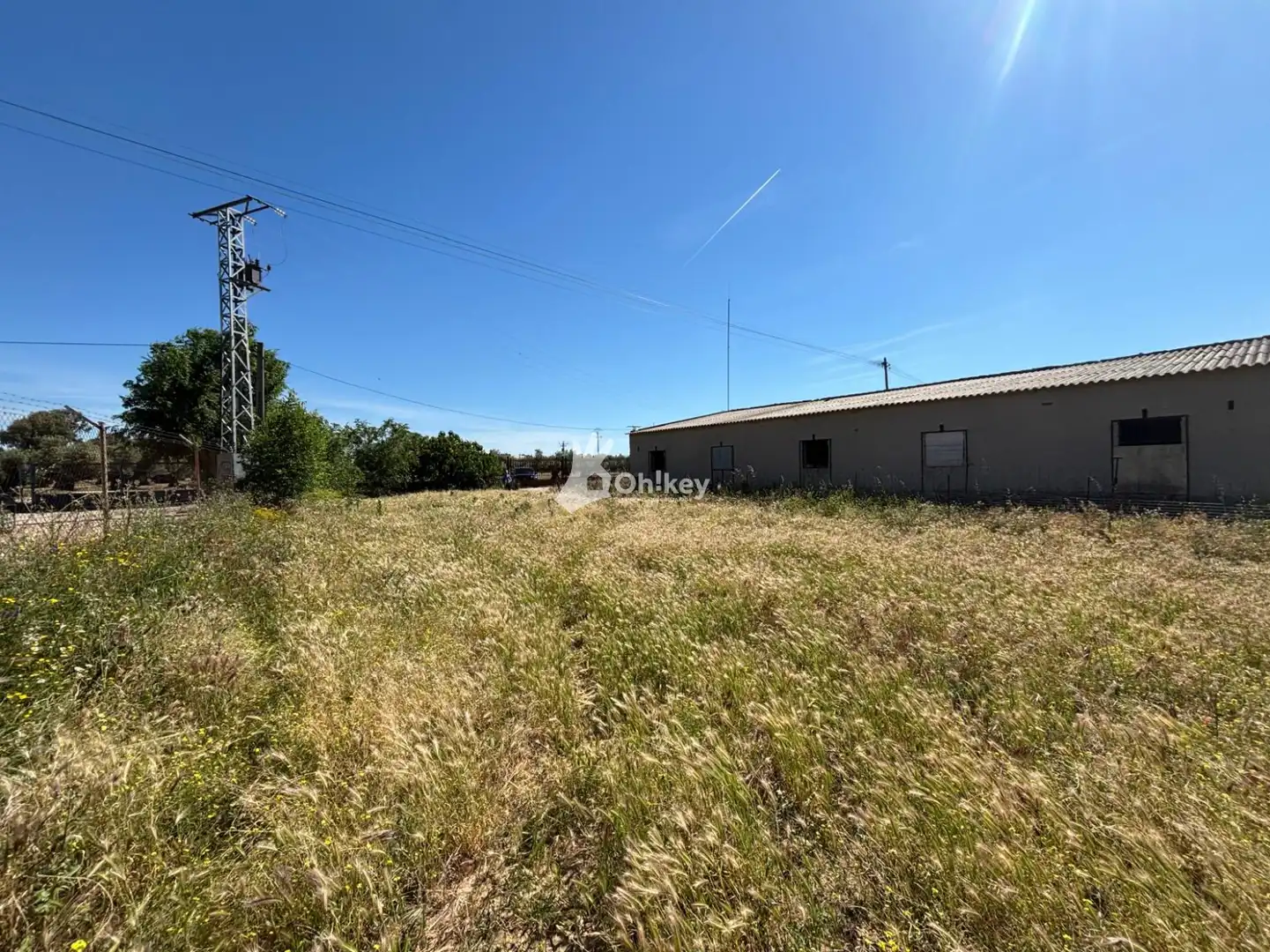 Terrain rustique à vendre à Cedillo del Condado
