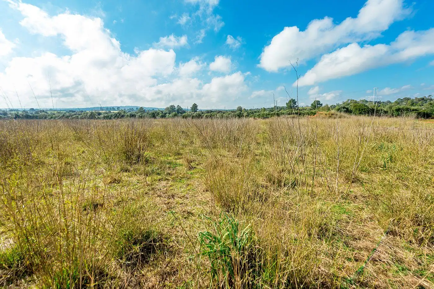 Country homes for sale in Inca