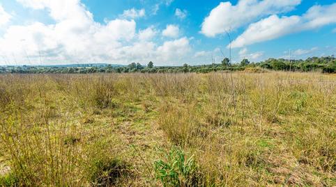 Photo 4 of Country house for sale in Cristo Rey - Parque Europa, Inca