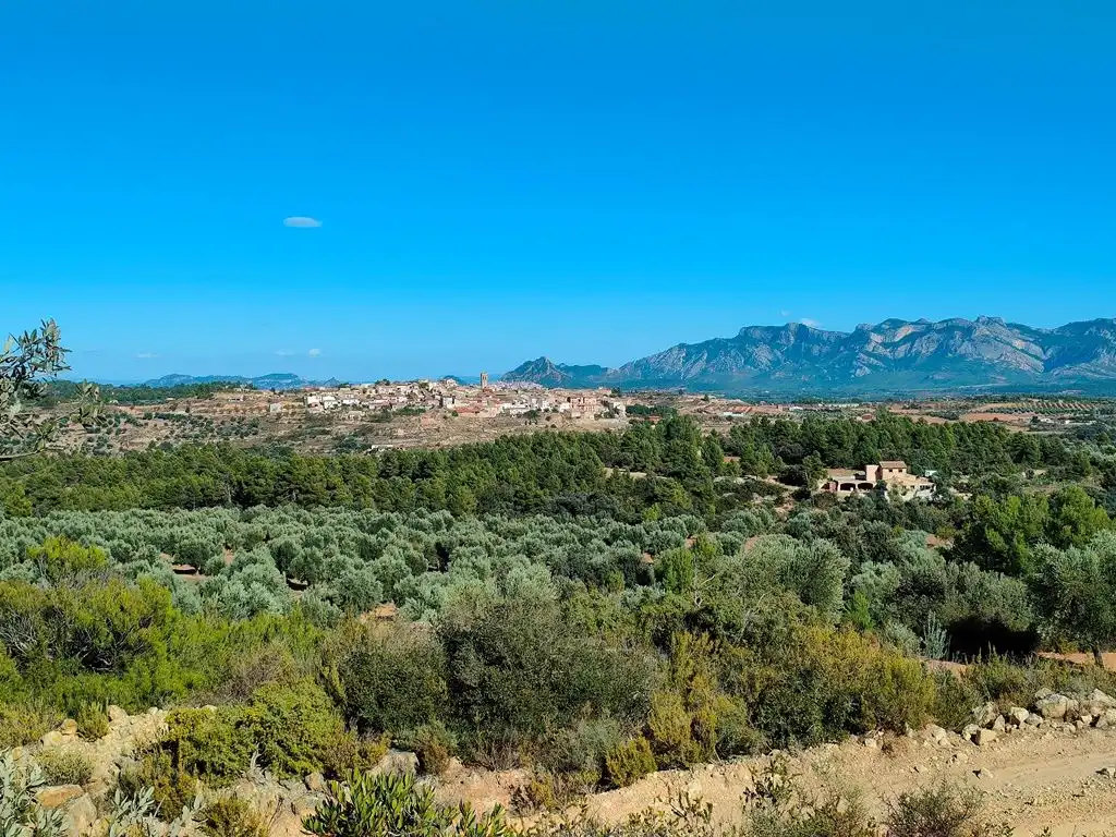 Country homes for sale in Cretas