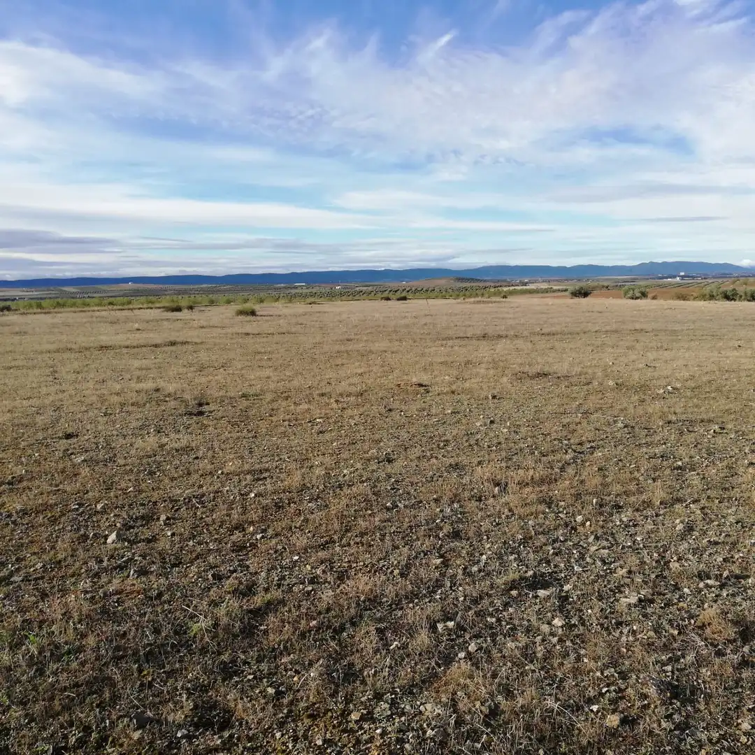 Terreny rústic en venda a Calle Francos, imagen 4