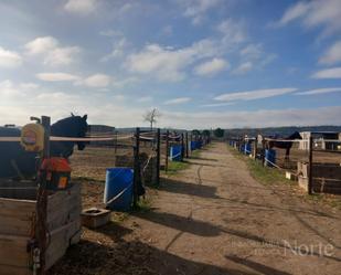 Vista exterior de Finca rústica en venda en Fuente El Saz de Jarama