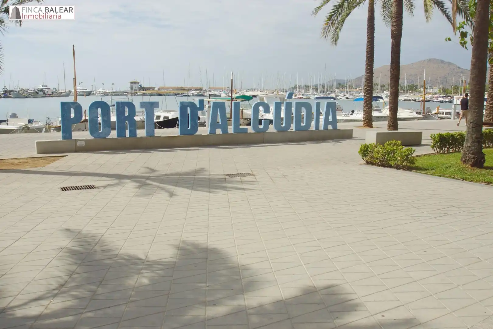 Pis de lloguer en Port d'Alcúdia - Platja d'Alcúdia
