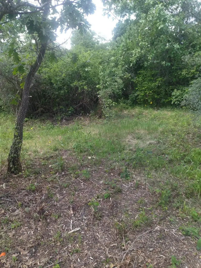 Terreni e lotti in vendita a Villanueva de la Vera, imagen 8