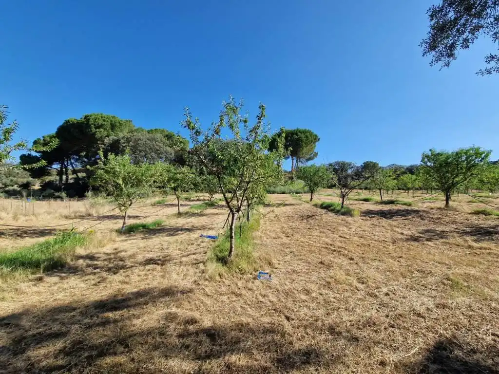 Terreno en venta en Binaced