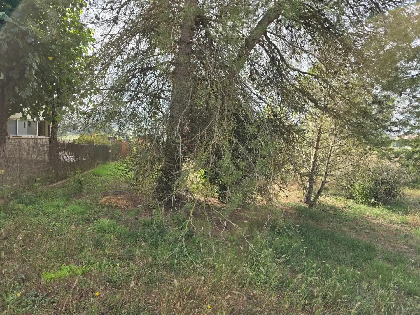 Lands and plots for sale in Carrer de Montcau, imagen 14