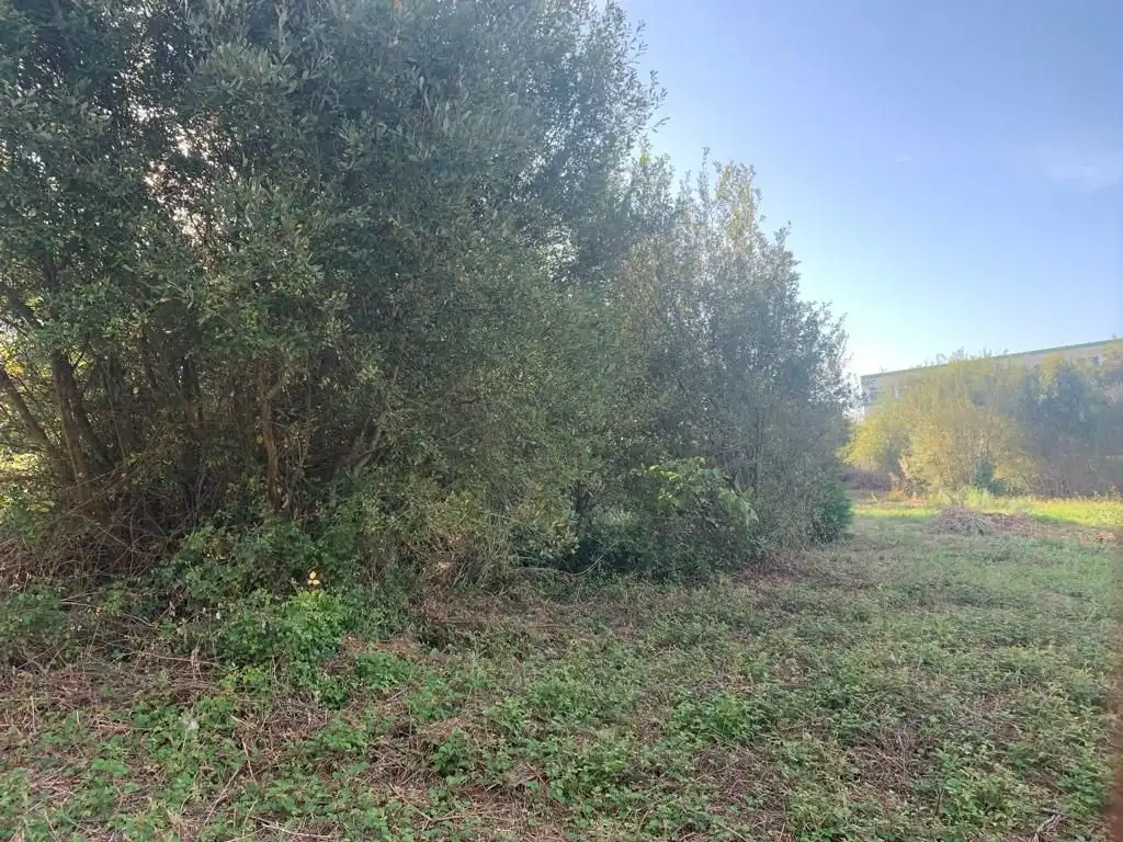 Terreno residenziale in vendita a Coto Núcleo, imagen 3