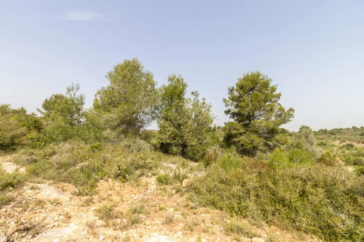 Residencial en venta en Montserrat