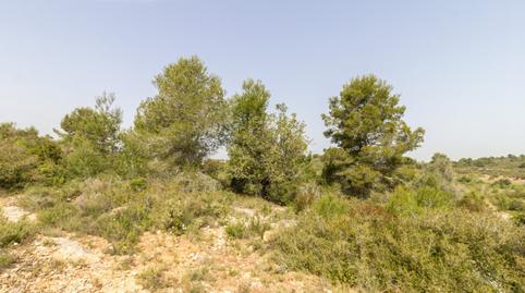 Foto 3 von Residential zum Verkauf in Calle de la Malaguenya, 587, Montserrat, Valencia