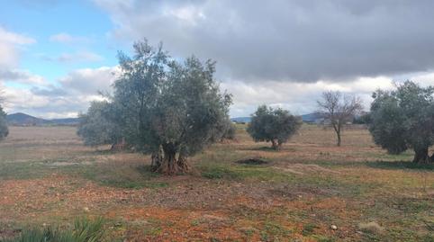 Photo 2 of Country house for sale in Argamasilla de Calatrava, Ciudad Real