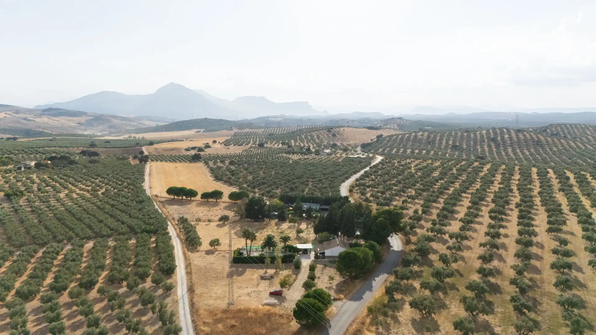 Lands and plots for sale in Bobadilla - Bobadilla Estación - La Joya, imagen 9