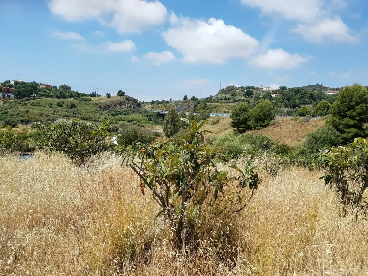 Casa rústica en venta en Selwo, imagen 2