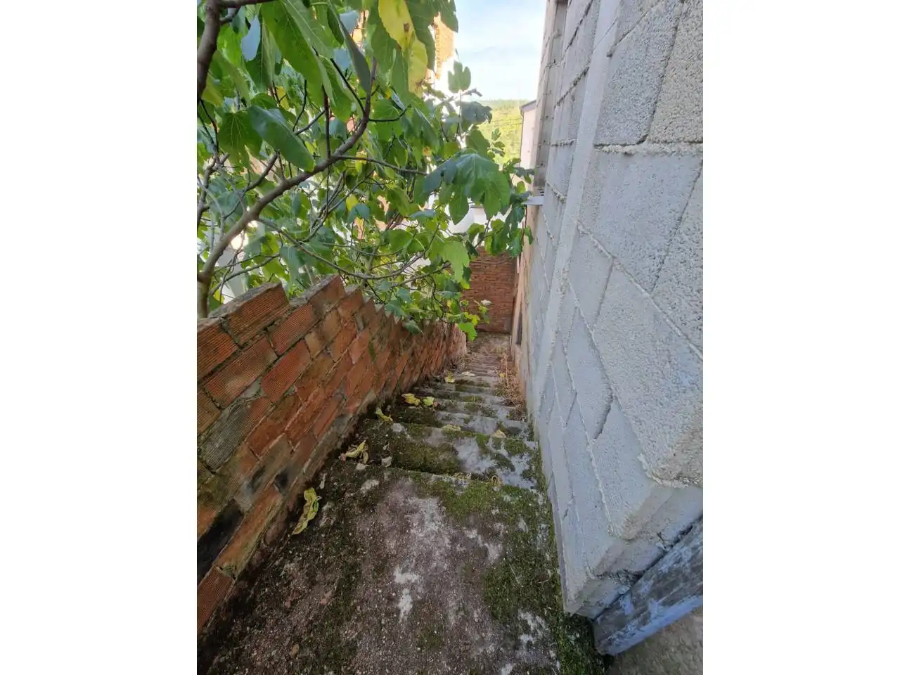 Exterior view of Houses for sale in Larouco