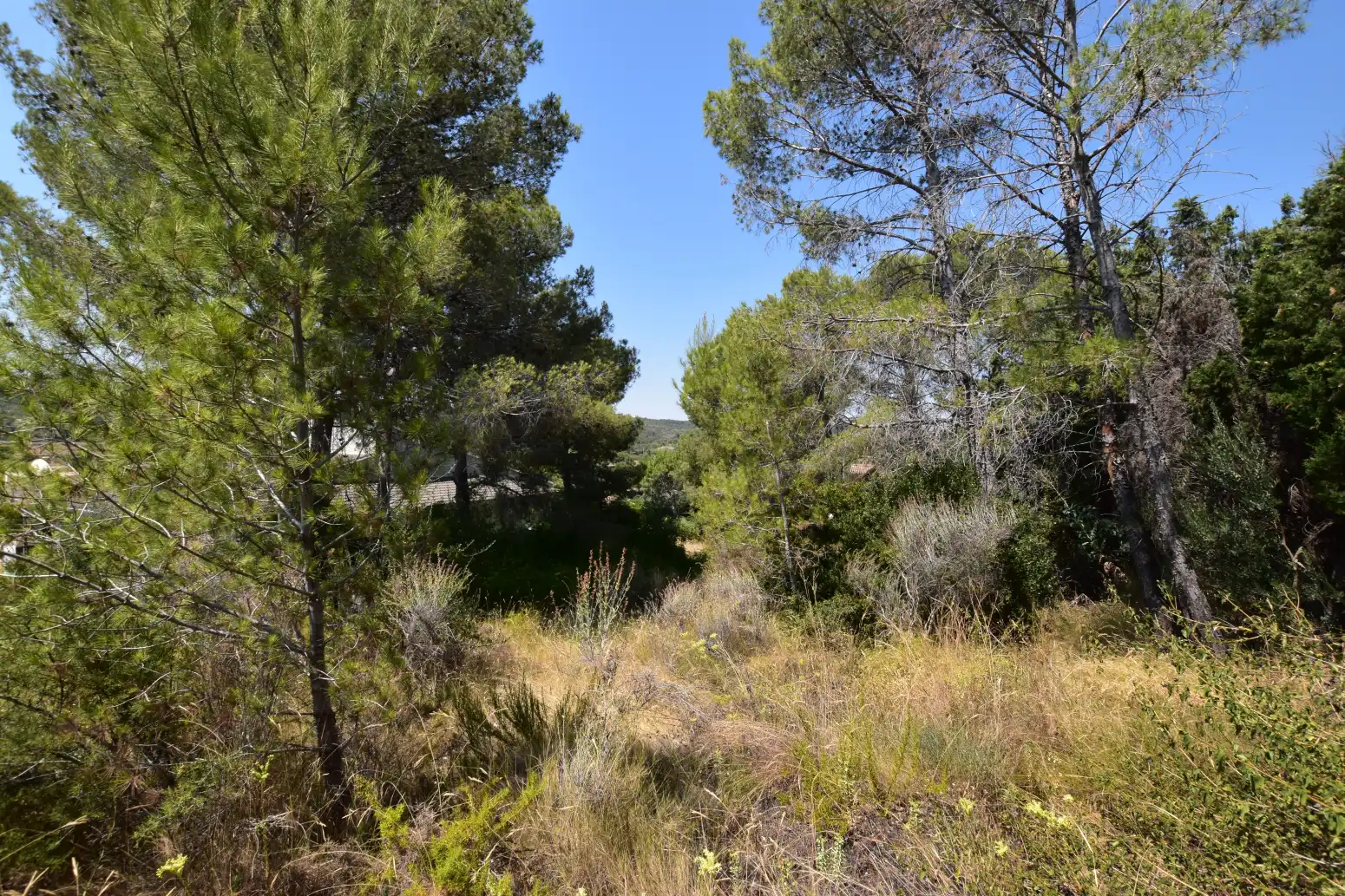 Terreno rústico en venta en Picassent - CL COVA FUMÀ, imagen 25
