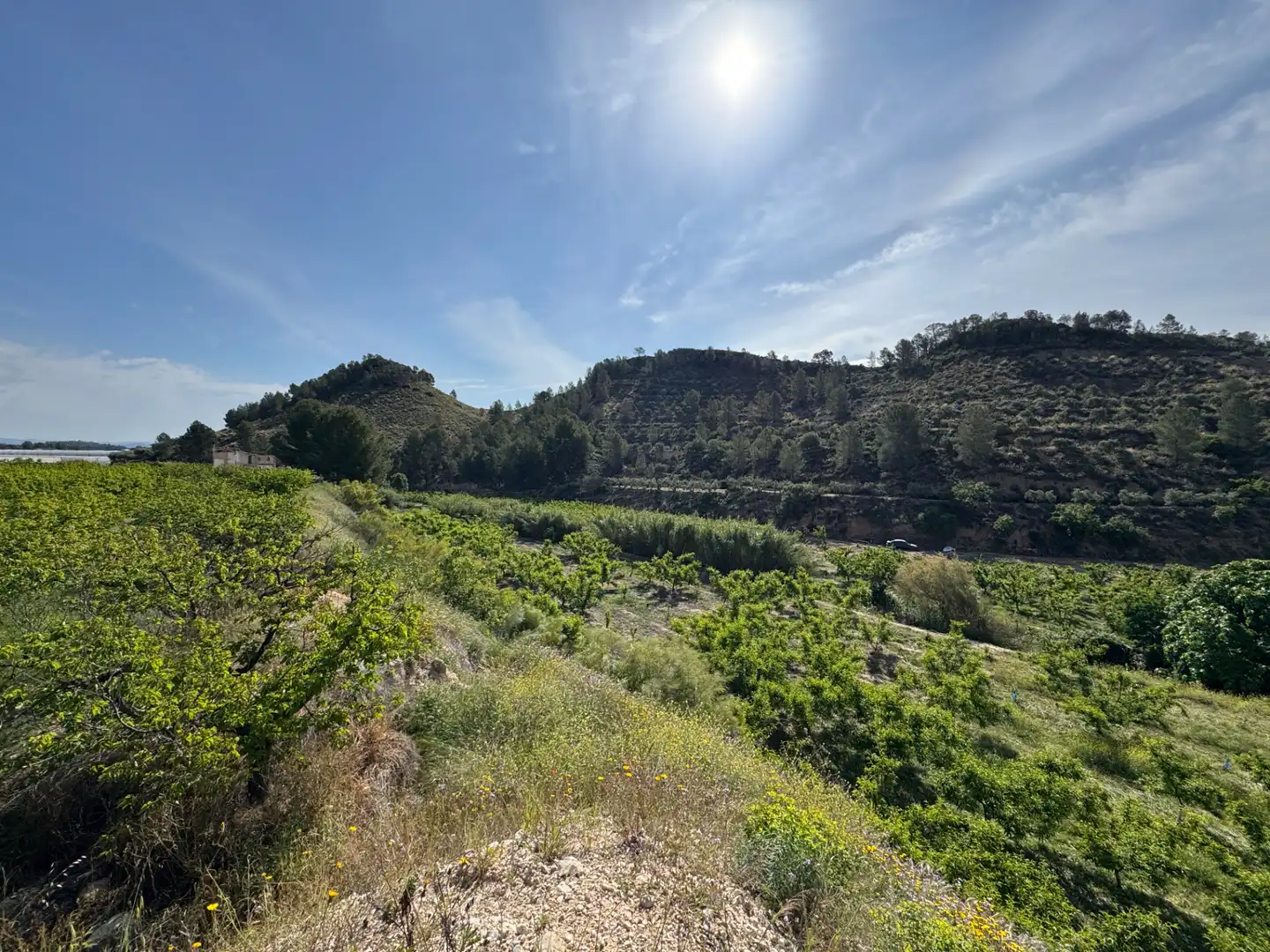 Terreno rustico in vendita a Calle 7.Canara 76, imagen 6