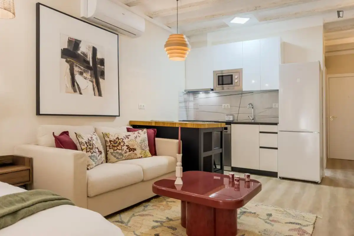 Sala de estar de Estudio de alquiler en Barcelona con Aire acondicionado, Calefacción y Amueblado