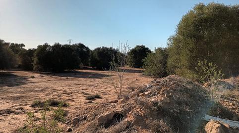 Photo 5 of Residential for sale in Gallipont Polígono 22 Parcela 8, -1, Gallipont, Valencia