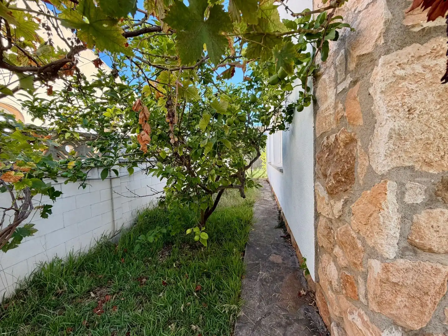 Houses for sale in Creixell  with Private garden