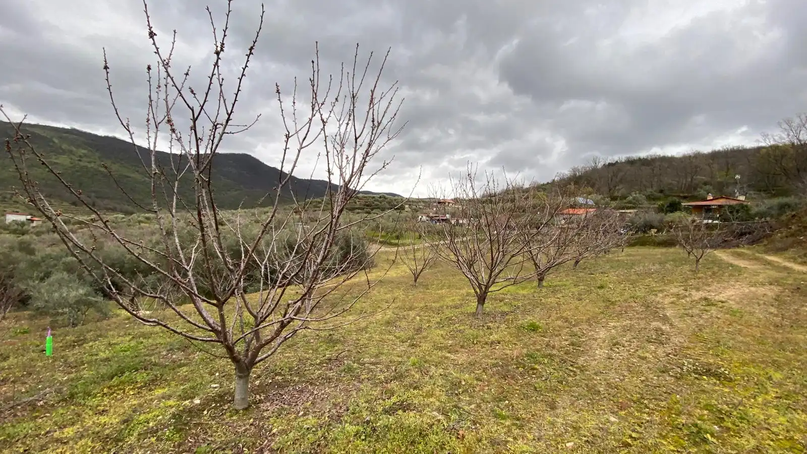 Terreni e lotti in vendita a Hervás, imagen 25