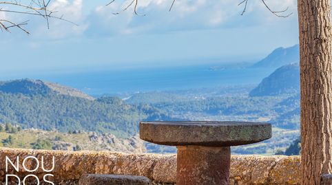 Finca mallorquina en Pollensa con vistas al mar y a la Sierra., imatge 3