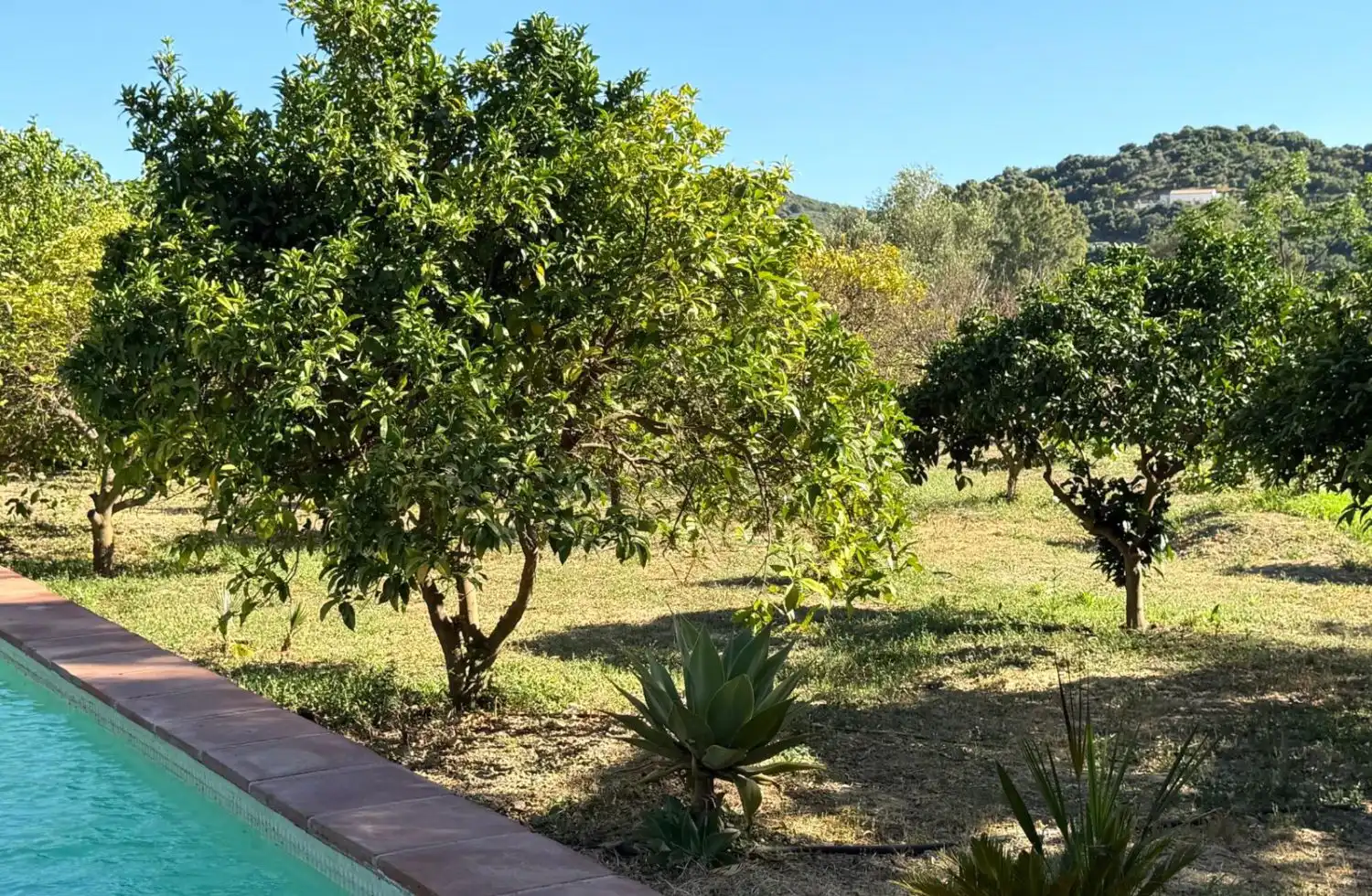 Casa rústica amb piscina en venda a San Martín del Tesorillo, imagen 42