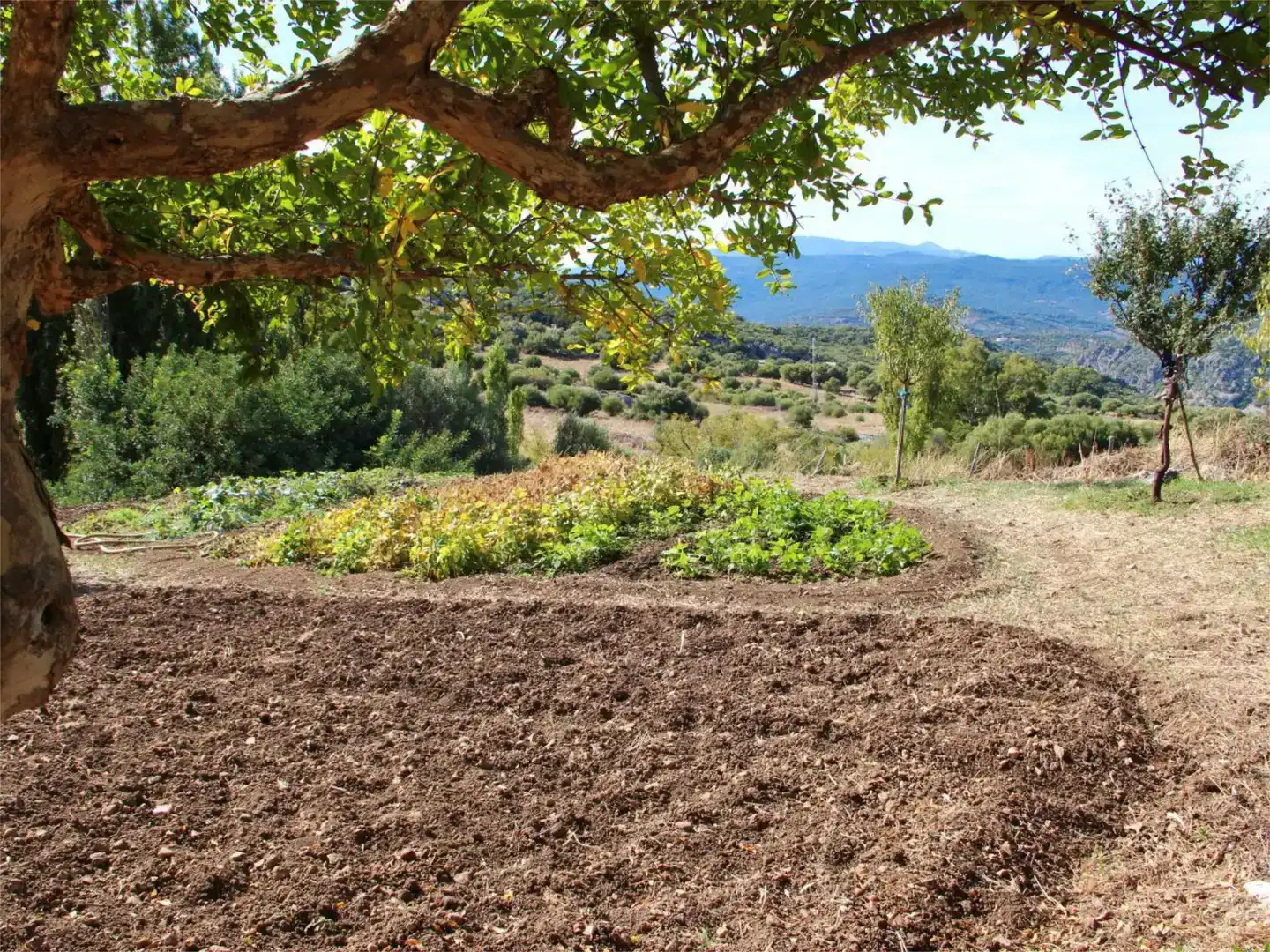 Piso en venta en Benaocaz con Jardín privado, Trastero y Piscina