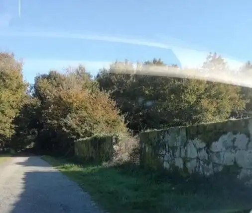 Terreni e lotti in vendita a Amoeiro, imagen 6