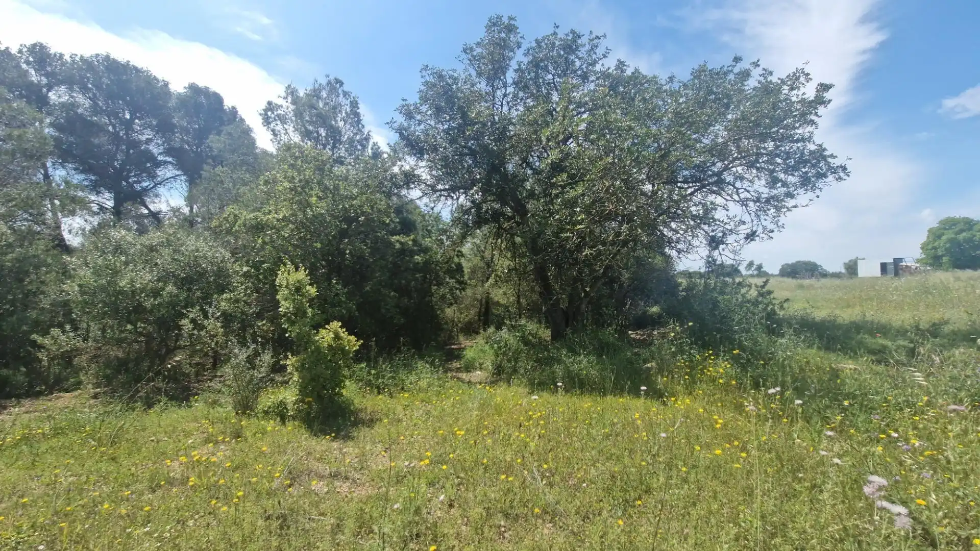 Terreno rustico in vendita a Valls, imagen 27
