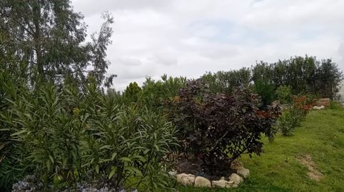 Photo 5 of Houses for sale in Subirats, Barcelona