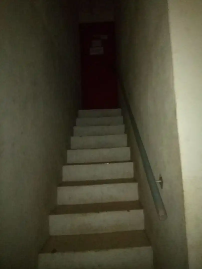 Local commercial à vendre à Juan de Austria / Santo Tomas, imagen 14