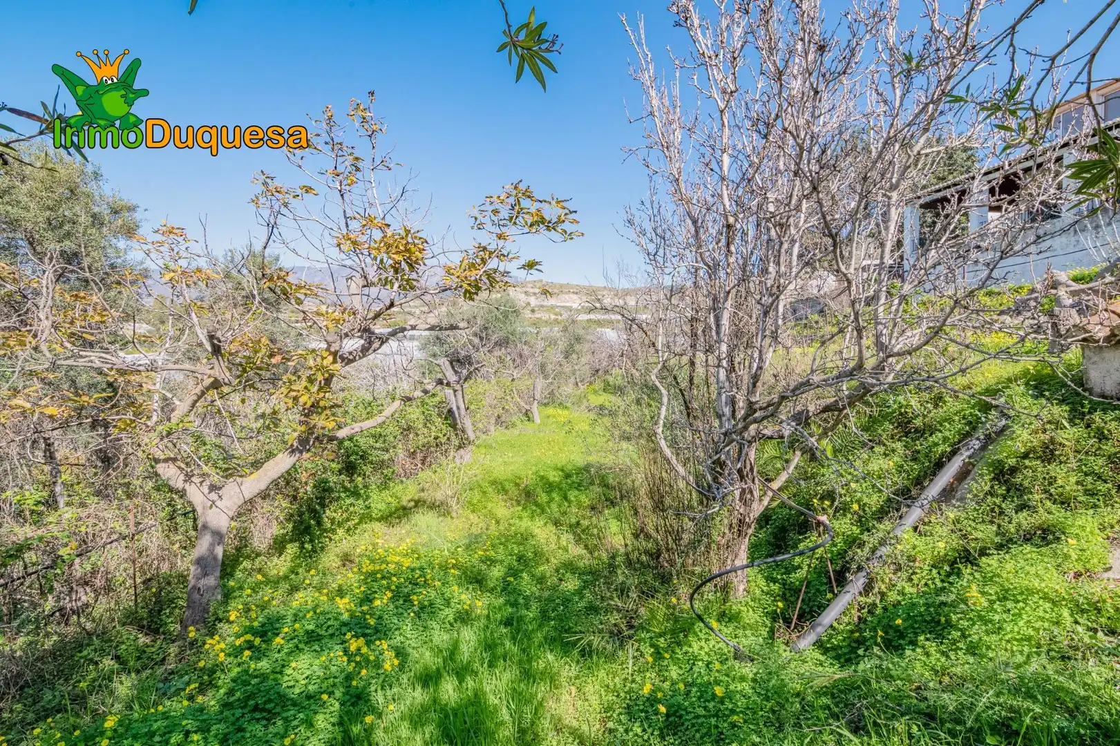 Detached house with pool for sale in Los Tablones - La Garnatilla, imagen 57