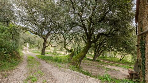 Foto 5 de Finca rústica en venda a Beuda, Girona