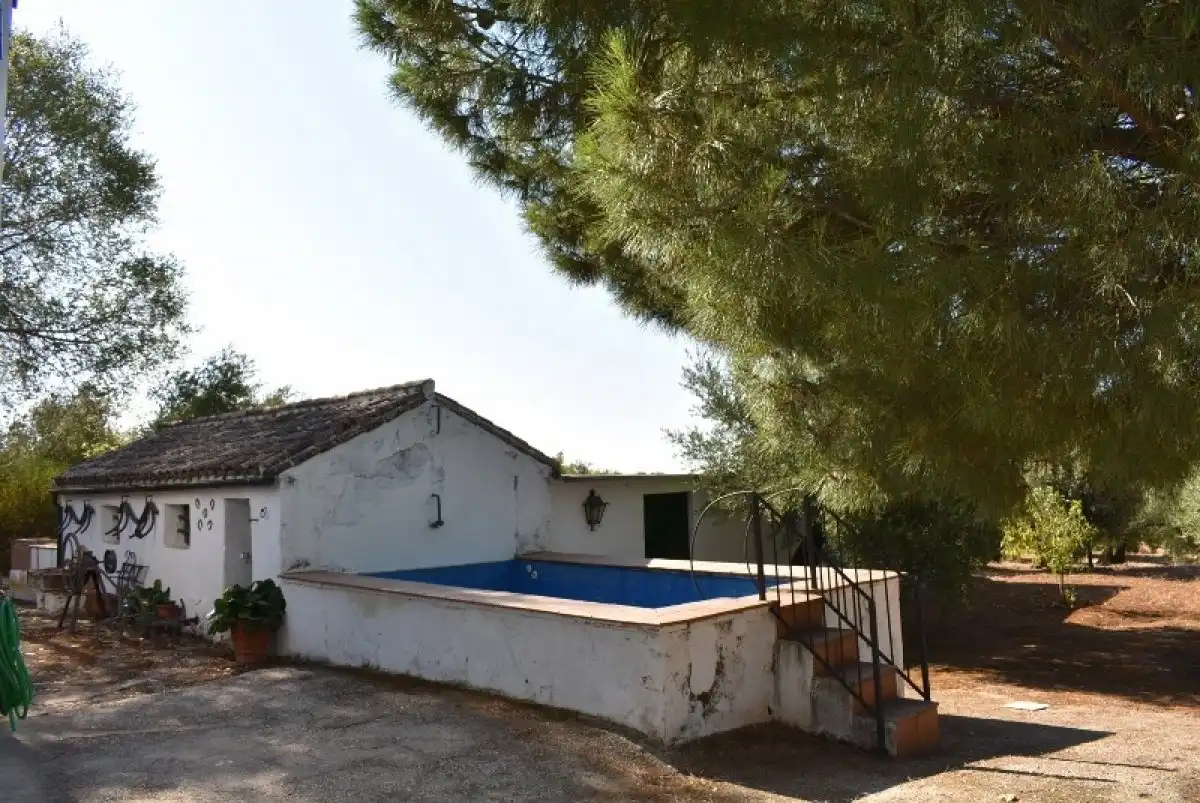 Schwimmbecken von Country house zum Verkauf in Montoro mit Heizung, Möbliert und Alarm