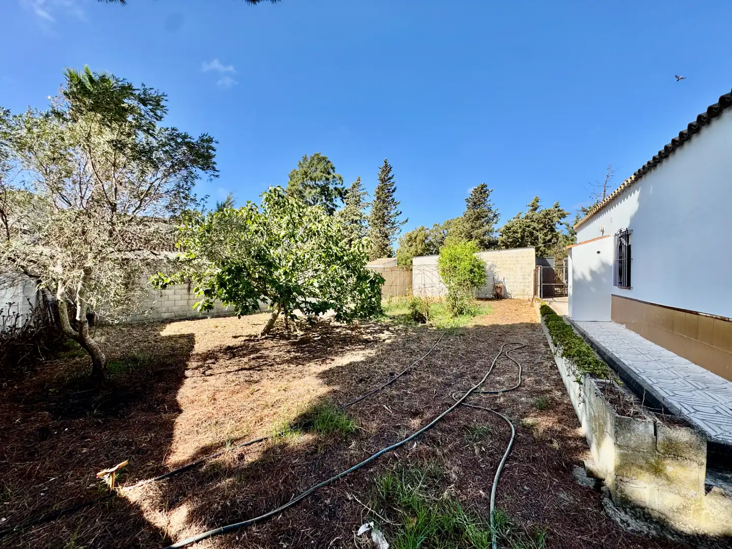 Chalet con piscina en venta en Pelagatos - Pago del Humo, imagen 16