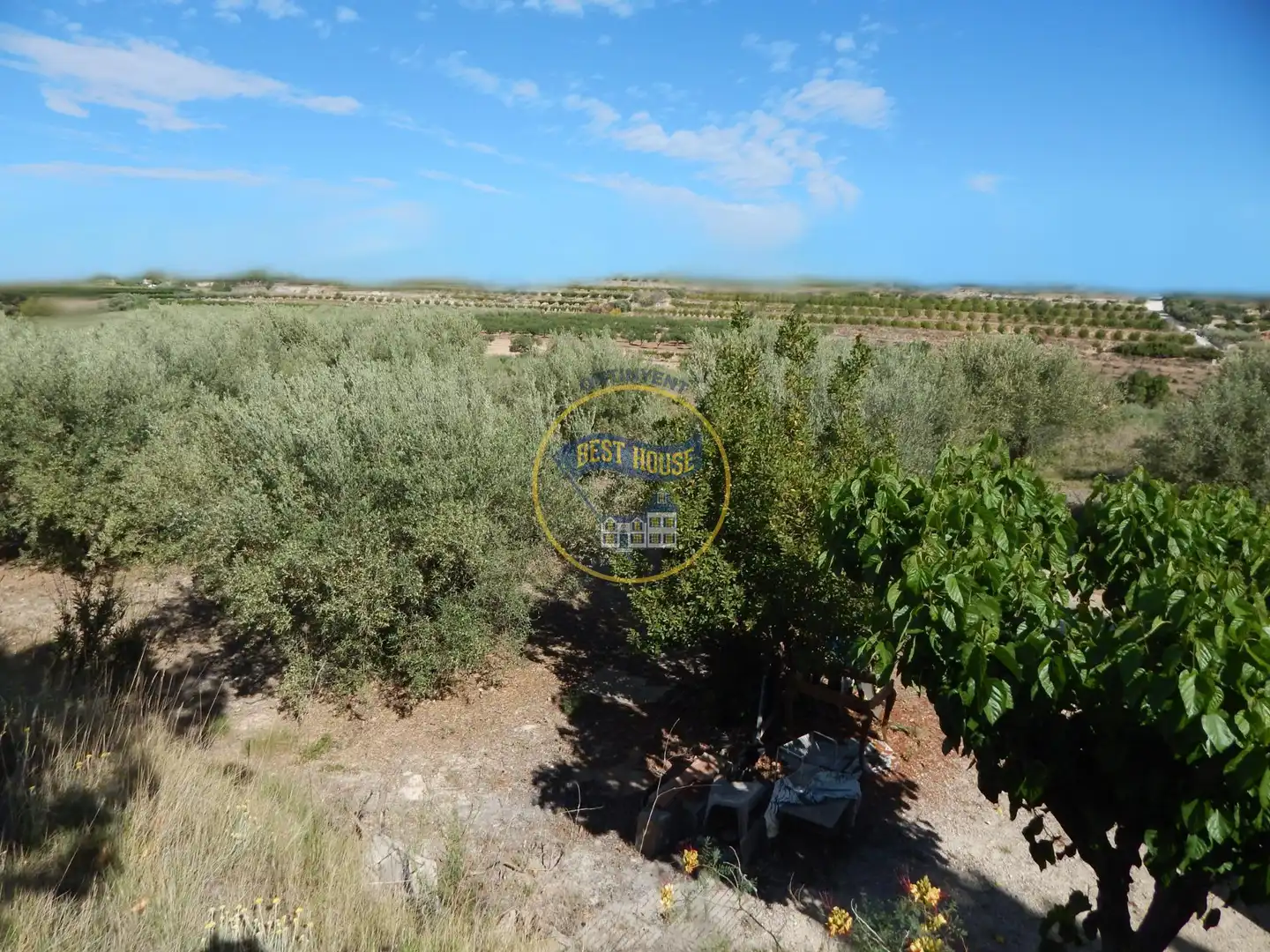 Terreny rústic en venda a Agullent, imagen 11
