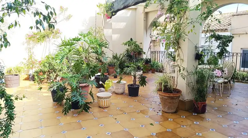 Terraced house with terrace for sale in Carrer Mestre Salvador Ferrandis, imagen 6
