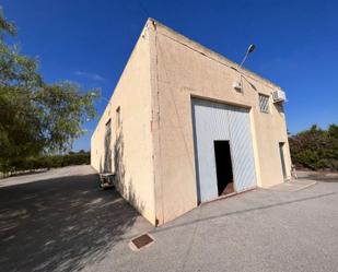 Exterior view of Industrial buildings for sale in Elche / Elx