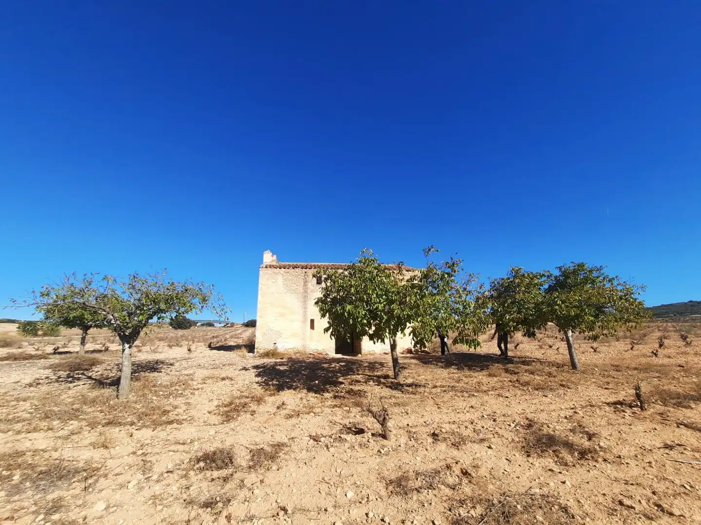 Casa rustica in vendita a Almansa, imagen 18