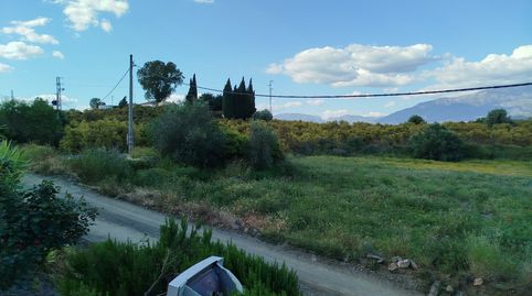 Foto 3 de Finca rústica en venda a Benamocarra, Málaga