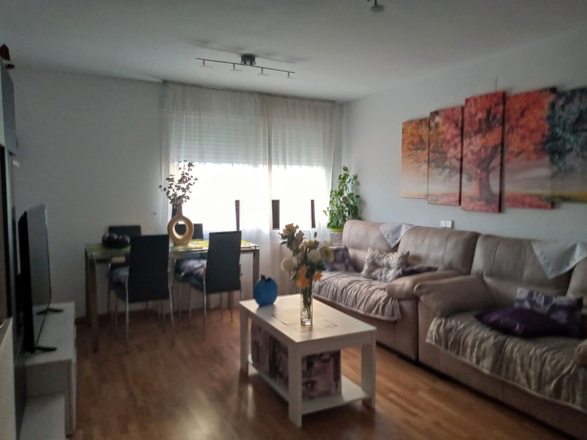 Living room of Flat to rent in Cuenca Capital  with Heating, Parquet flooring and Furnished