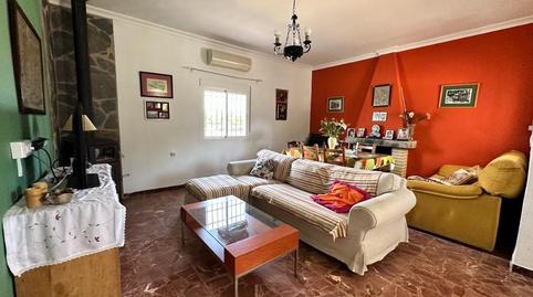 Foto 5 de Finca rústica en venda a Los Palacios y Villafranca, Sevilla