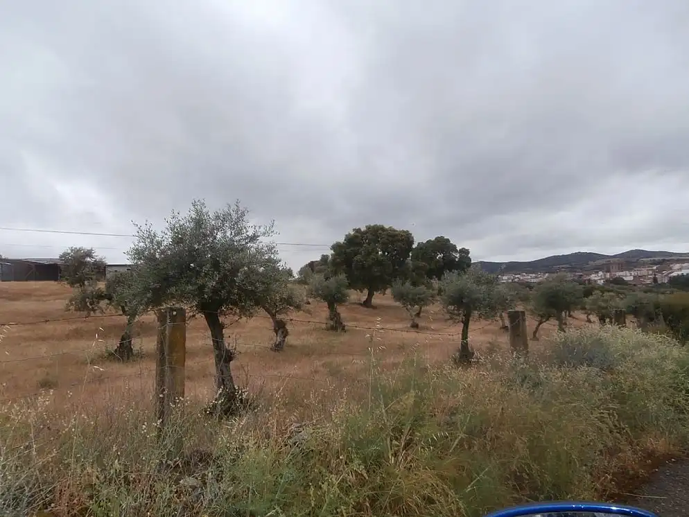 Terreni e lotti in vendita a Paraje Arroyo de Marta, imagen 7