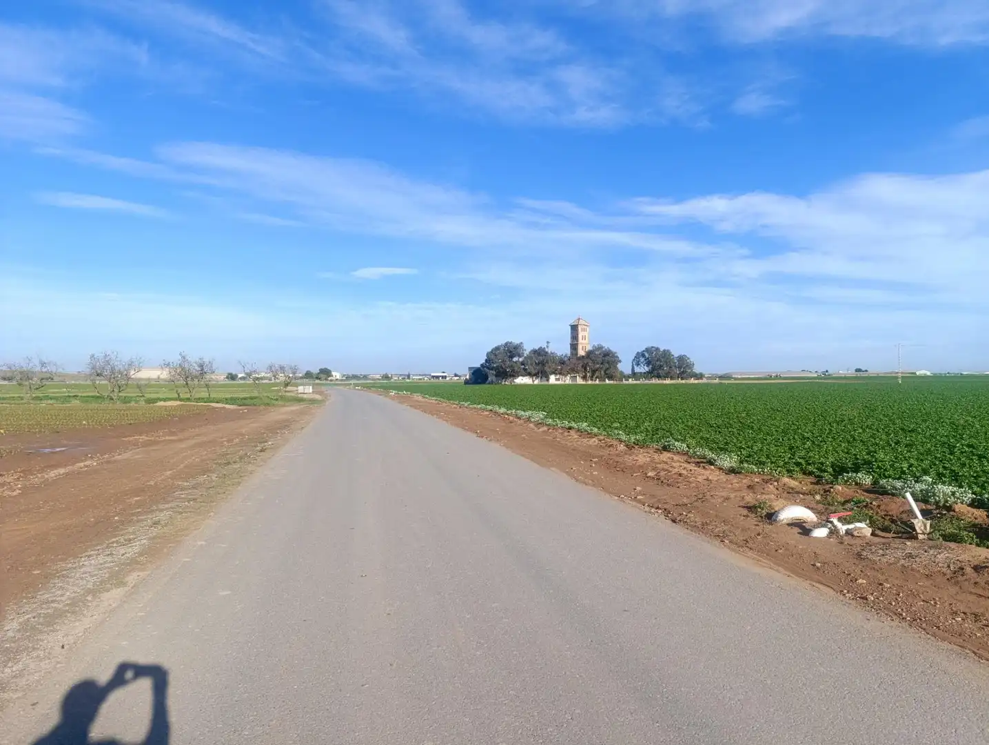 Terreno rústico en venta en Pasaje TORRE CALIN-DS ALJORRA 1, imagen 2