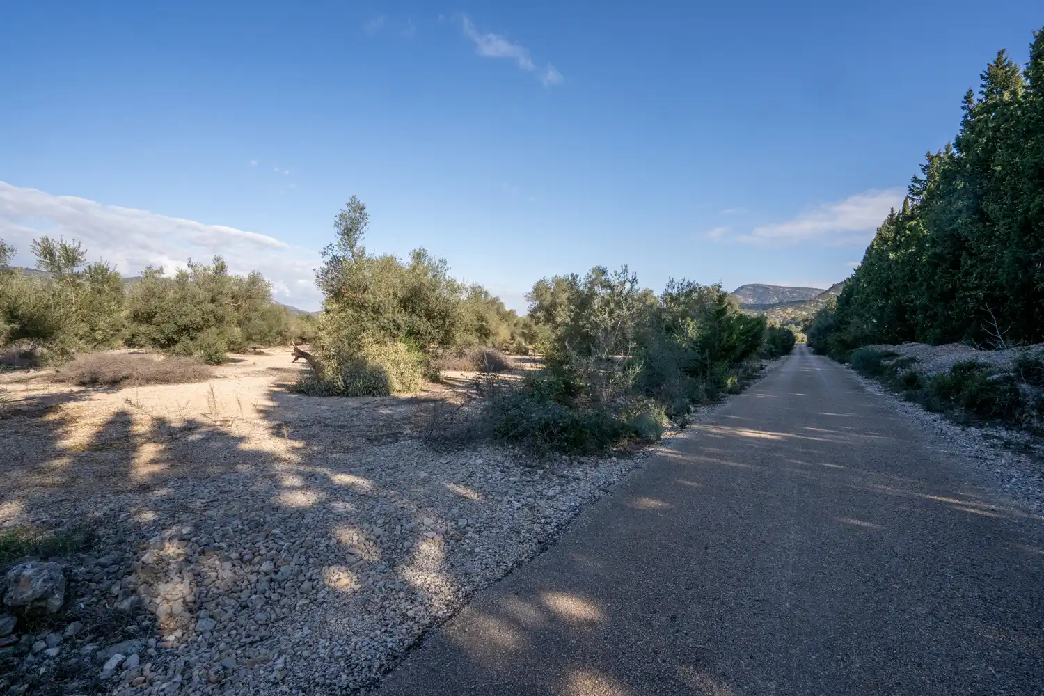 Rustikales Grundstück zum Verkauf in Ulldecona, imagen 10