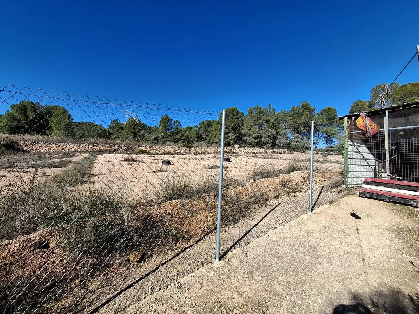 Finca rústica en venda en Móra d'Ebre