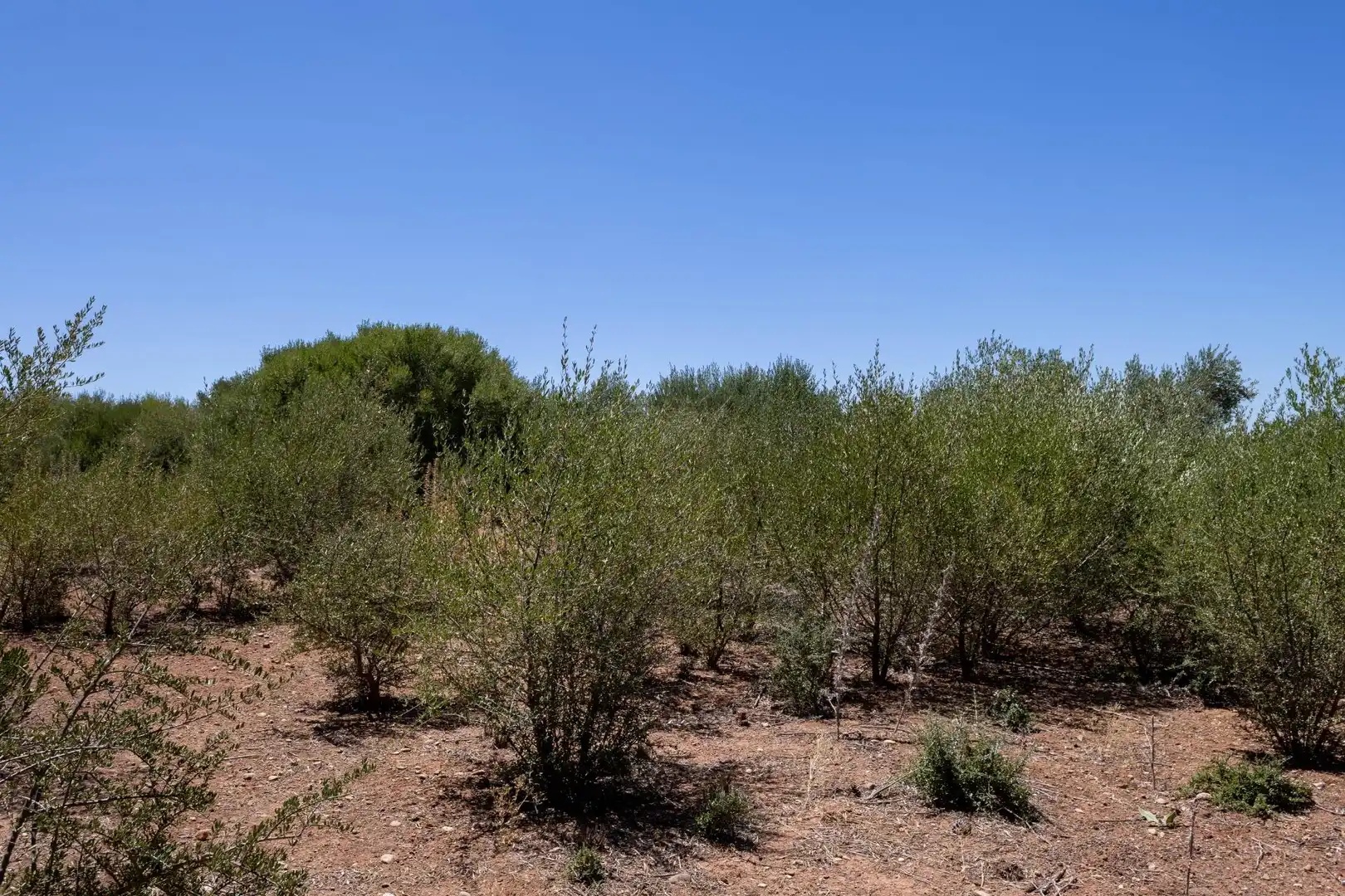 Terrenys i solars en venda a Santiago - Coronación, imagen 51